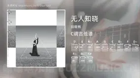 无人知晓 田馥甄 吉他谱C调简单版