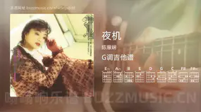 夜机 陈慧娴 吉他谱G调简单版
