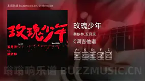 玫瑰少年 蔡依林,五月天 吉他谱C调简单版