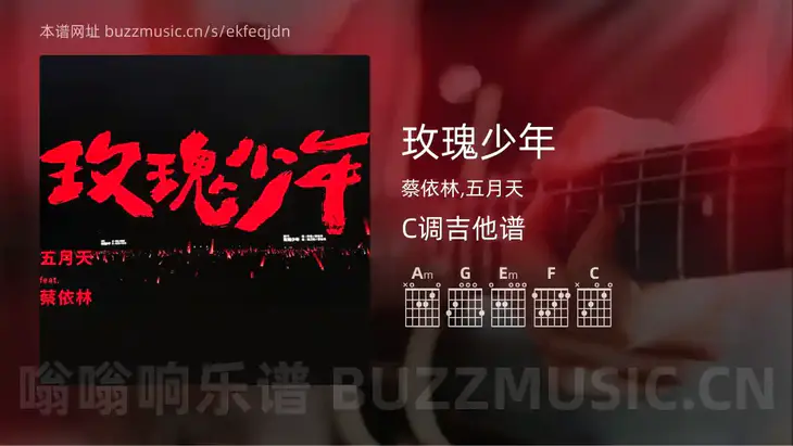 玫瑰少年 蔡依林,五月天 吉他谱C调简单版