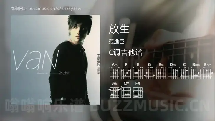 放生 范逸臣 吉他谱C调简单版