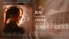 孤独 G.E.M. 邓紫棋 吉他谱C调简单版