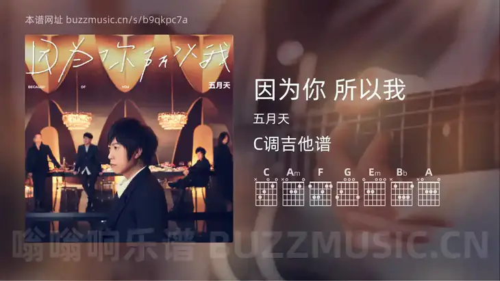因为你 所以我 五月天 吉他谱C调简单版