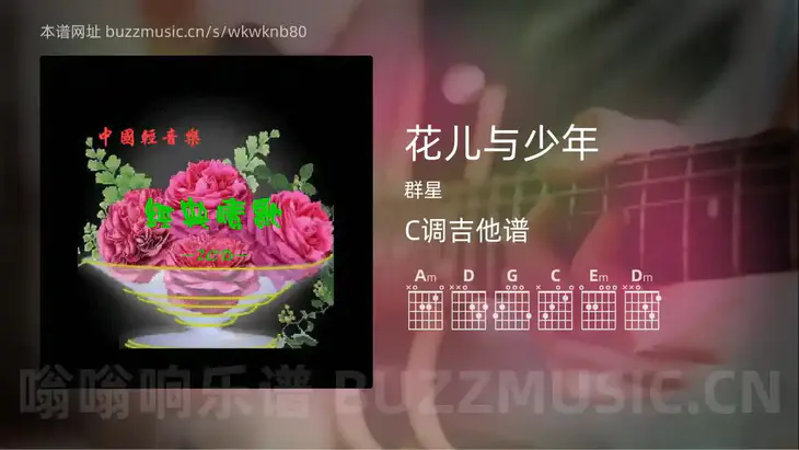 花儿与少年 群星 吉他谱C调简单版