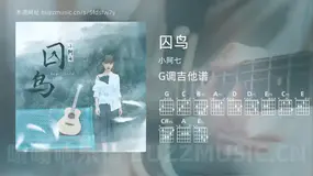 囚鸟吉他谱G调 小阿七 简单版