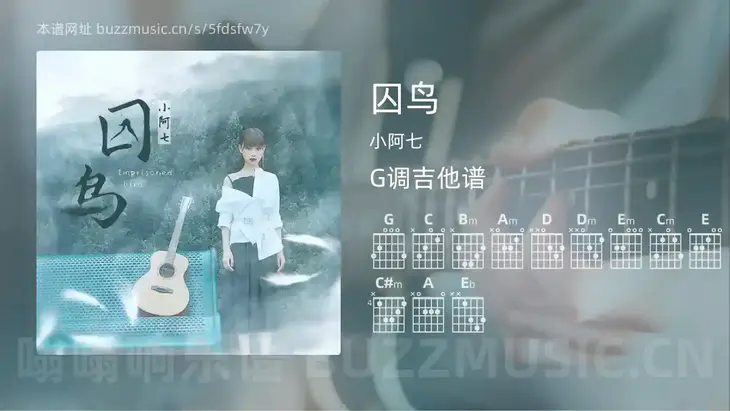 囚鸟吉他谱G调 小阿七 简单版