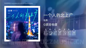 一个人的北上广 张茜 吉他谱G调简单版