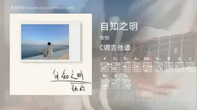 自知之明 张怡 吉他谱C调简单版