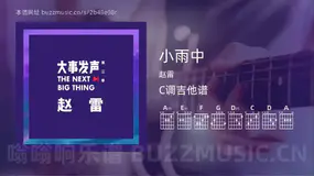 小雨中 赵雷 吉他谱C调简单版