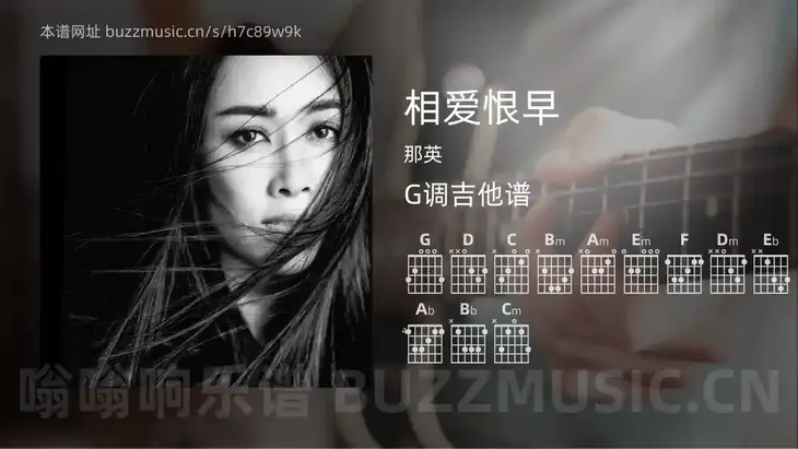 相爱恨早吉他谱G调 那英 简单版