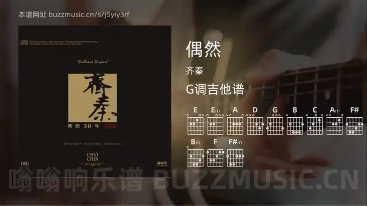 偶然 齐秦 吉他谱G调简单版