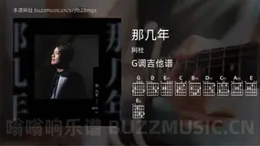 那几年 阿杜 吉他谱G调简单版