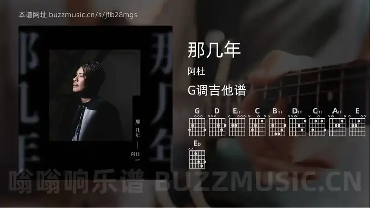 那几年 阿杜 吉他谱G调简单版