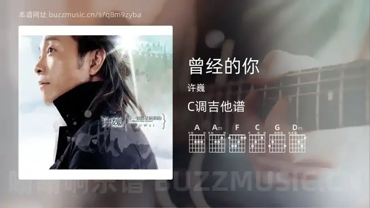曾经的你吉他谱C调 许巍 简单版