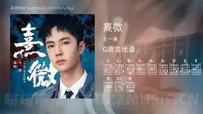 熹微吉他谱G调 王一博 简单版