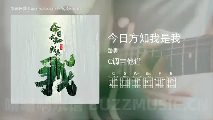 今日方知我是我吉他谱C调 路勇 简单版
