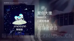 爱你大理 野娃娃乐队 吉他谱C调简单版