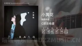 小黄花 陕西牛犇 吉他谱C调简单版