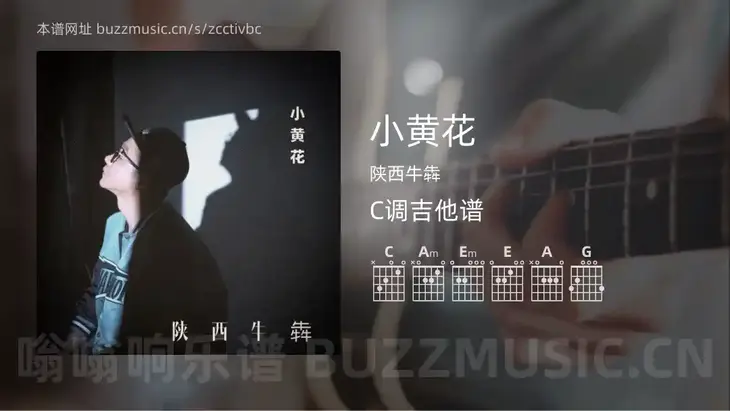 小黄花 陕西牛犇 吉他谱C调简单版
