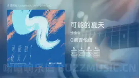 可能的夏天 沈虫虫 吉他谱G调简单版