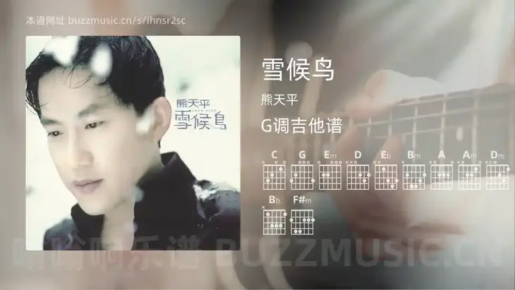 雪候鸟 熊天平 吉他谱G调简单版