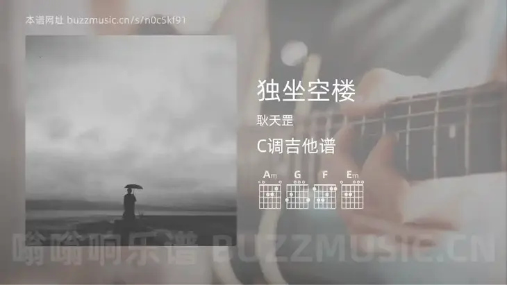 独坐空楼 耿天罡 吉他谱C调简单版