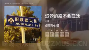 追梦的路不会孤独吉他谱G调 小海 简单版