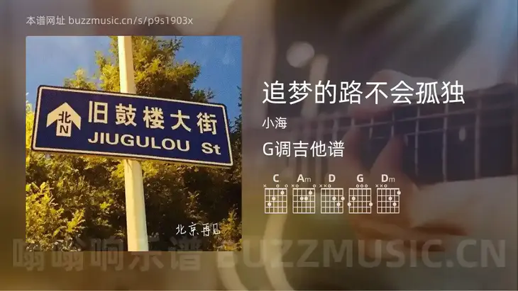 追梦的路不会孤独吉他谱G调 小海 简单版