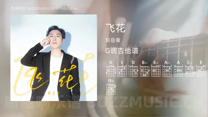 飞花 邓岳章 吉他谱G调简单版