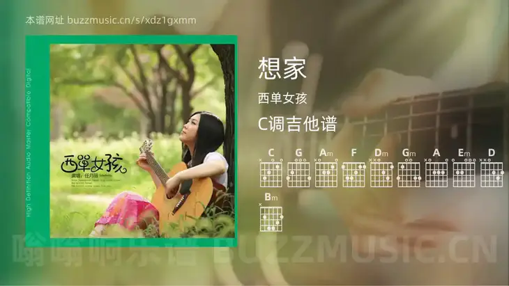 想家 西单女孩 吉他谱C调简单版