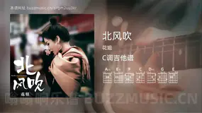 北风吹 花姐 吉他谱C调简单版