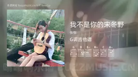 我不是你的宋冬野吉他谱G调 张怡 简单版