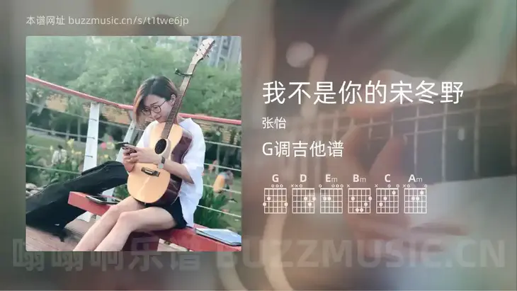 我不是你的宋冬野吉他谱G调 张怡 简单版