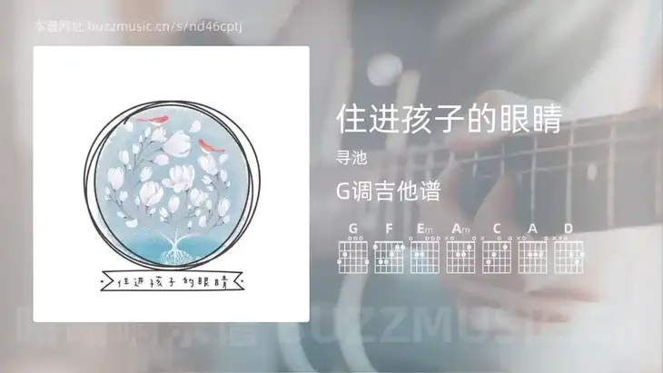 住进孩子的眼睛吉他谱G调 寻池 简单版