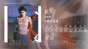 花火 梁咏琪 吉他谱G调简单版