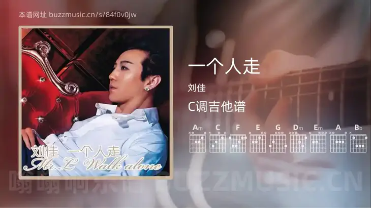 一个人走吉他谱C调 刘佳 简单版