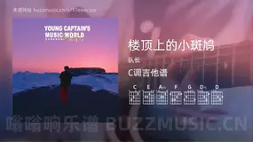 楼顶上的小斑鸠吉他谱C调 队长 简单版
