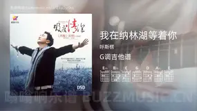 我在纳林湖等着你 呼斯楞 吉他谱G调简单版