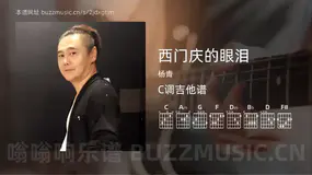西门庆的眼泪吉他谱C调 杨青 简单版