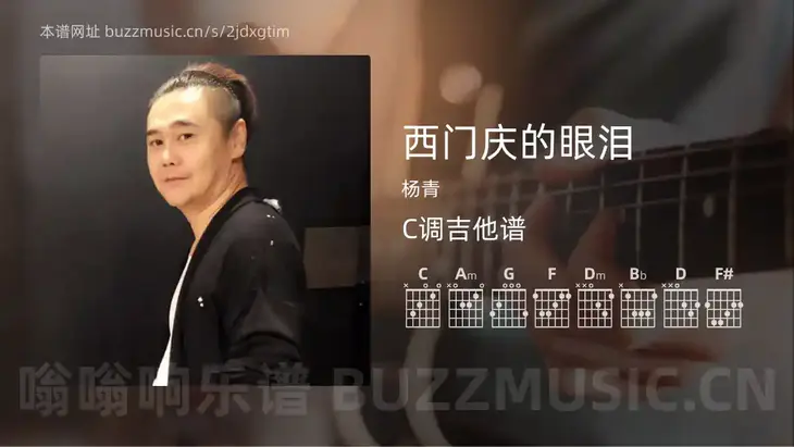 西门庆的眼泪吉他谱C调 杨青 简单版