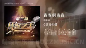 青春啊青春 周晓鸥 吉他谱G调简单版