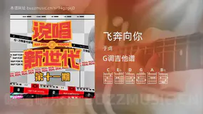 飞奔向你 于贞 吉他谱G调简单版