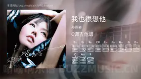 我也很想他 孙燕姿 吉他谱C调简单版