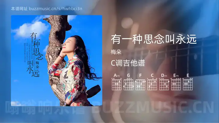有一种思念叫永远 梅朵 吉他谱C调简单版