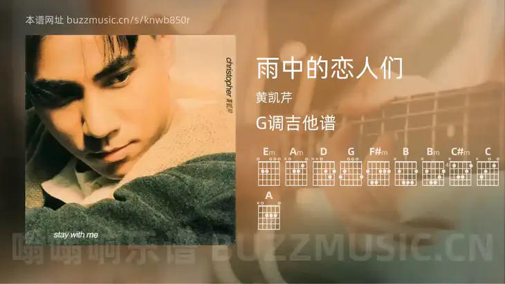 雨中的恋人们吉他谱G调 黄凯芹 简单版