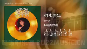 似水流年 徐小凤 吉他谱G调简单版