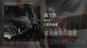 丢了你吉他谱C调 唐子臣 简单版