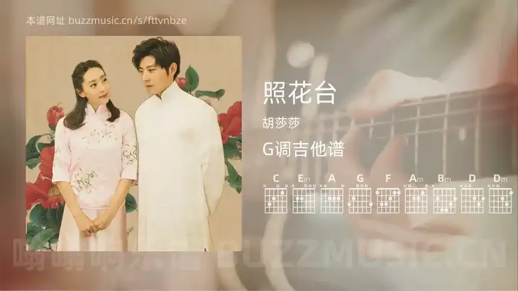 照花台 胡莎莎 吉他谱G调简单版
