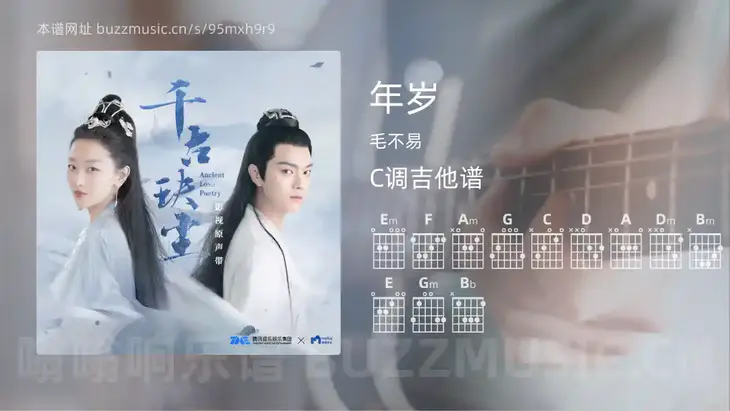 年岁 毛不易 吉他谱C调简单版