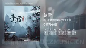 踏雪吉他谱C调 等什么君(邓寓君),FOX胡天渝 简单版
